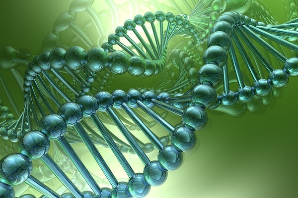 3. Какой русский ученый разделил рефлексы на условные и безусловные?