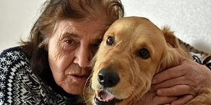 Komşular İstemeyince Mahkeme Kararıyla Evden Atılan Köpek, Şanslı: 'Benden Ayrılırsa Ölür'