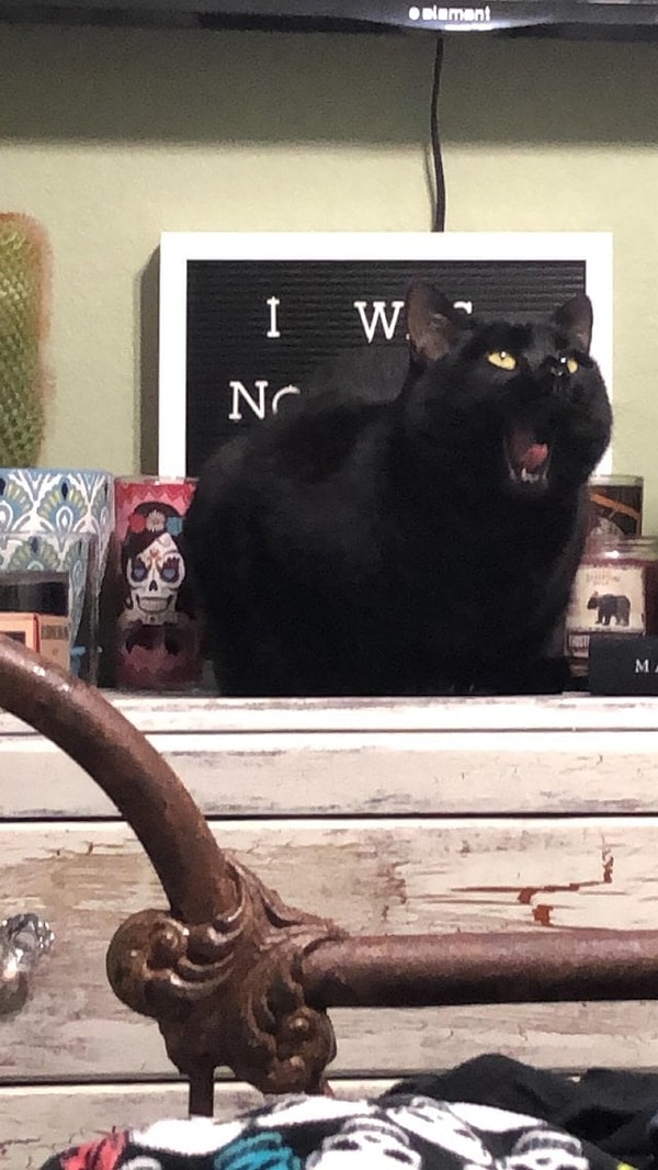 14. "Она кого-то зовет"