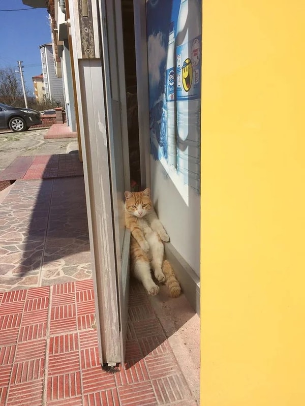 18. "Не пытайтесь меня понять"