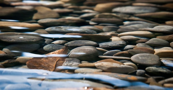 2. В какой стране вы найдете устье реки Ориноко?