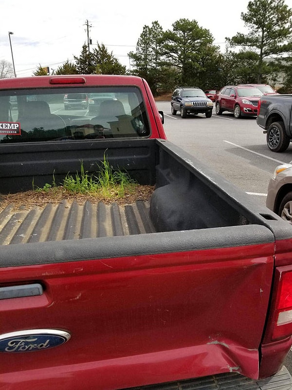 21. Когда живешь в Ирландии