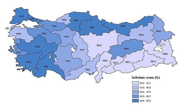 En yüksek istihdam oranı %55,3 ile TR21 (Tekirdağ, Edirne, Kırklareli) Bölgesi'nde gerçekleşti. En düşük istihdam oranı ise %30,5 ile TRC3 (Mardin, Batman, Şırnak, Siirt) Bölgesi'nde oldu.