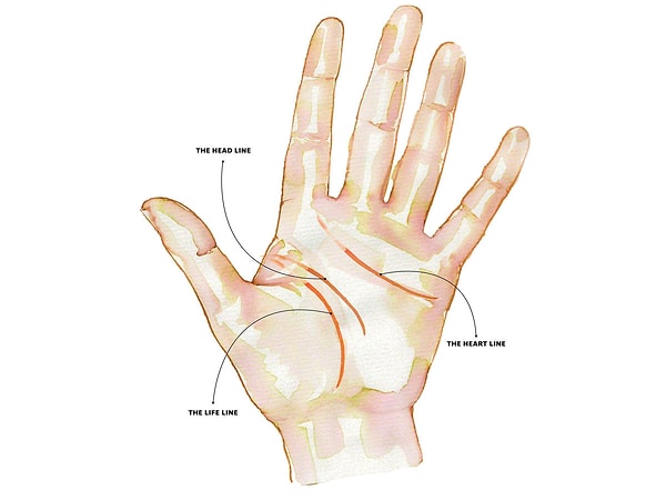 2. Ваша линия сердца прямая или изогнутая?