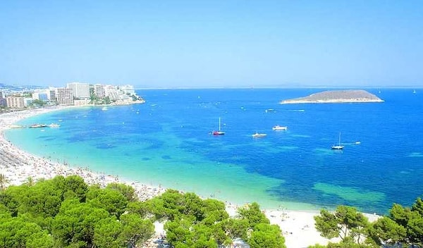 9. Какое море не омывает побережья Турции?