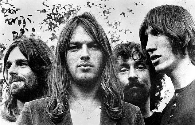 12. İlginç bir karaktere ve eşsiz özelliklere sahip olan "pinkfloydia"'yı keşfeden bilim insanları, örümceğin özelliklerini Pink Floyd isimli grubun eşsiz özelliklerine benzetmişler.