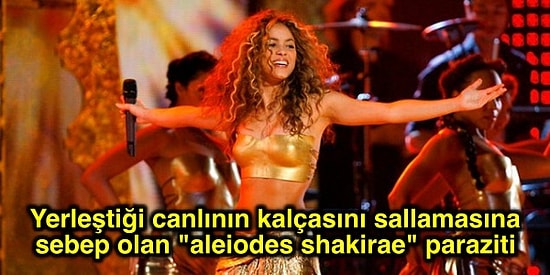 Karakteristik ve Fiziksel Benzerlikleri Sebebiyle İsimlerini Ünlülerden Alan Birbirinden İlginç 18 Canlı Türü