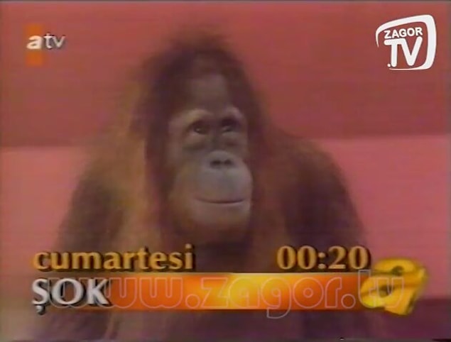 Şok programı yayınladığı olaylarla belki de Türk televizyon tarihinin en absürt programıydı. Bilmeyenler ve hatırlamayanlar için kısaca neler yaşandığına bakalım. Daha sonra kararı siz verin. 😂