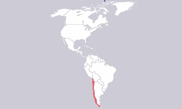 7. Теперь обратим внимание на Южную Америку. Что это за страна, протянувшаяся тонкой линией вдоль побережья Тихого океана?