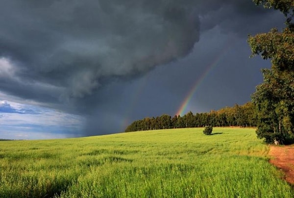 9. Люблю грозу в начале мая...