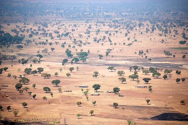 5. В какой стране в 1986 году Всемирный банк превозгласил полное искоренение коррупции?
