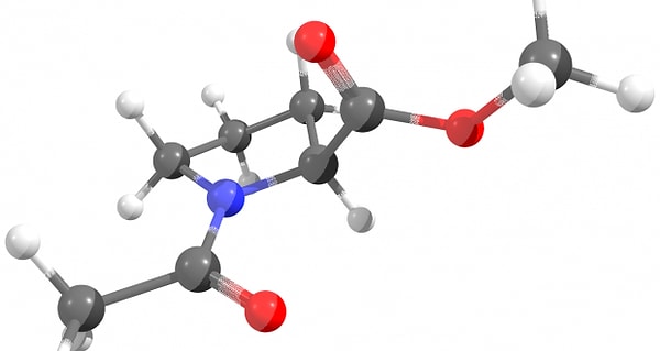 5. Как иначе называют органическую химию?