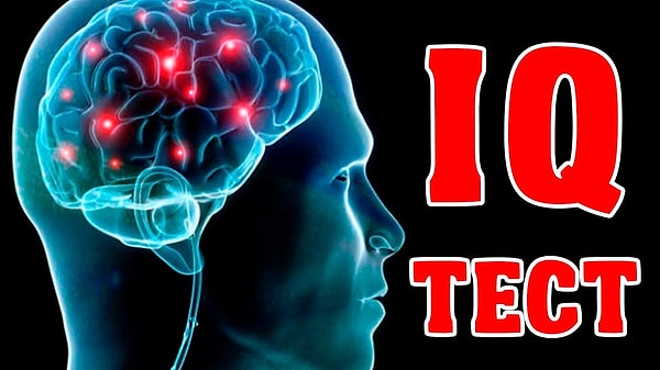 10. Самые высокие показатели iQ, которые зафиксировали на Земле, принадлежат женщинам.