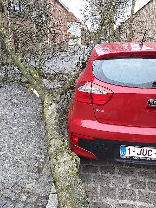 7. Это же как повезло парню!