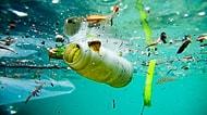 2021 Yılında Yürürlüğe Girecek: AP Tek Kullanımlık Plastik Ürünleri Yasakladı