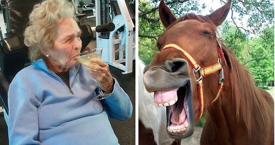 27 отборных мемов о похудении и диетах, от которых вы надорвете свои толстенькие животы :)