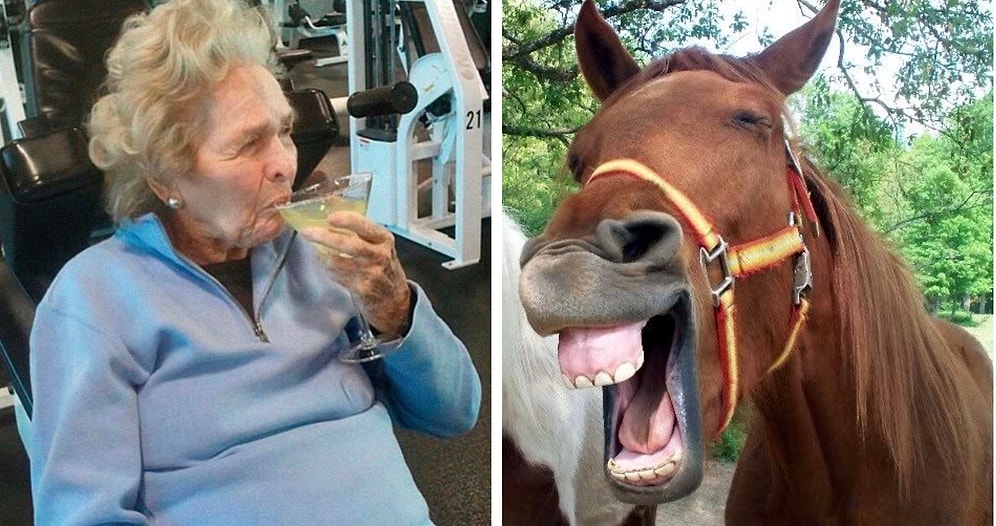 27 отборных мемов о похудении и диетах, от которых вы надорвете свои толстенькие животы :)