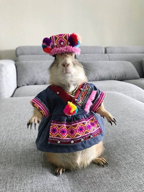 6. "Че ннада?"