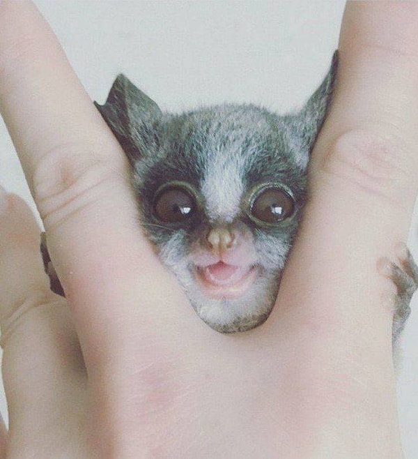 22. Привеееет!