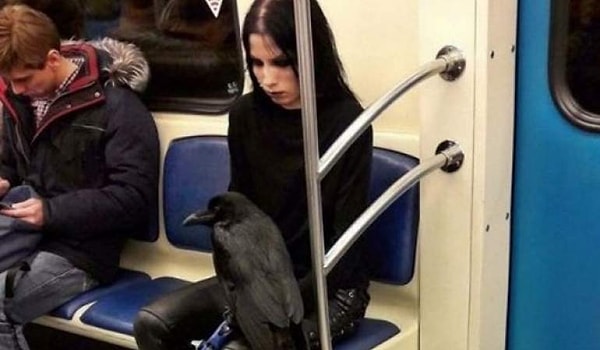 26. Вас она не пугает?