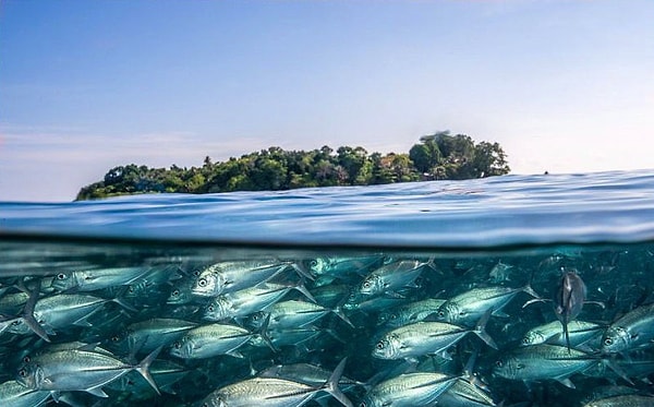 8. Просто правильно установленная камера