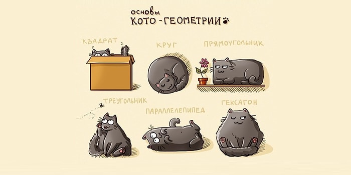 Вы точно не учились в школе, если не сможете назвать все 12 геометрических фигур :)