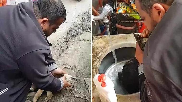 Madalyonun bir de diğer yüzü var elbette: Rize'de yaşayan Ömer Yılmaz, aniden fenalaşan bir köpeğe kalp masajı yaptı, suni teneffüs uyguladı.