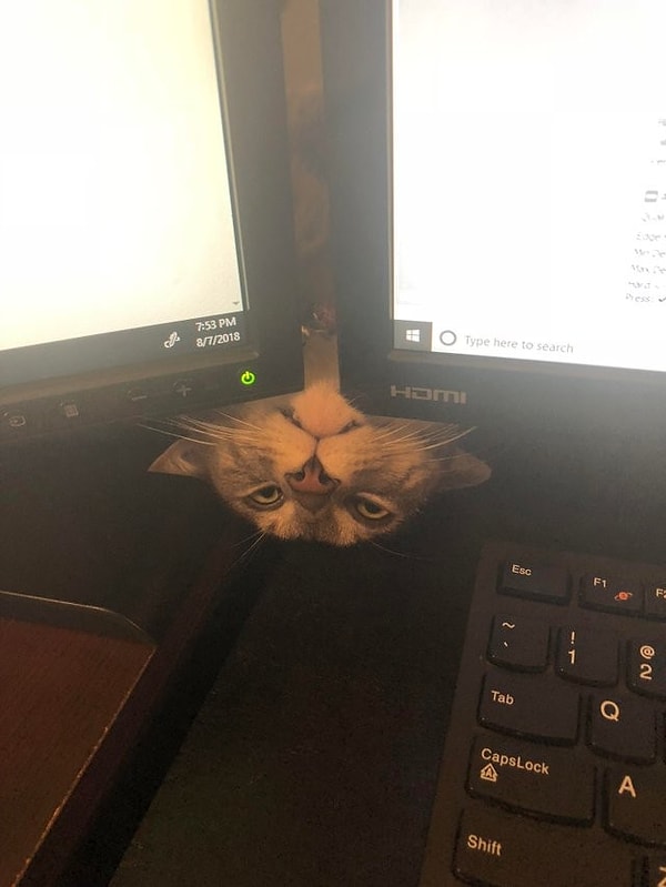 21. «Просто оставлю это здесь»