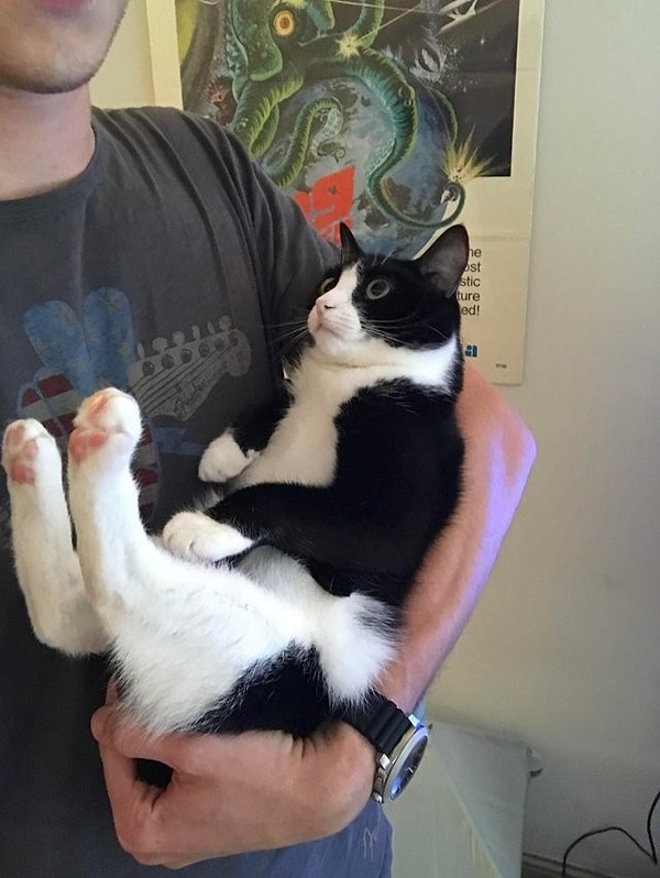 22. «Она настаивает, чтобы я носил ее на руках вот так, каждый раз, как я прихожу с работы»