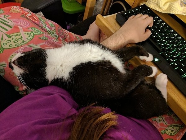 29. «Вот так и работаю»