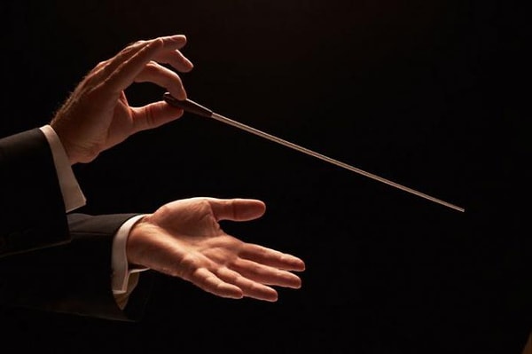 #2 Чем камерный оркестр отличается от симфонического?