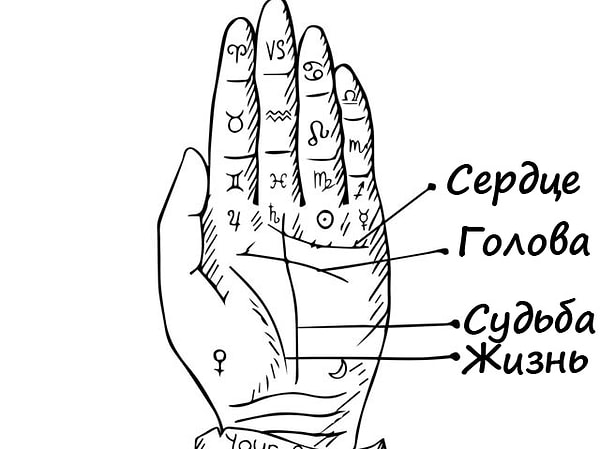 4. Где начинается ваша линия сердца?