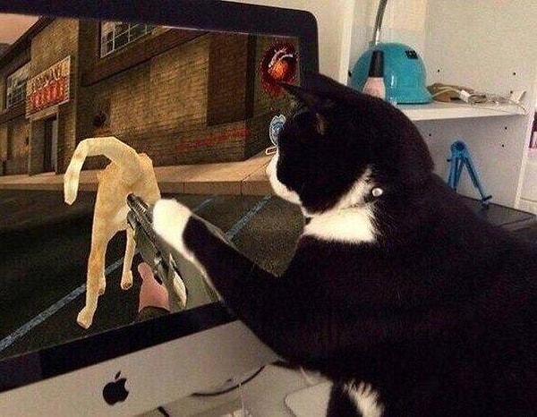 10. Кошачья месть: страшна и непредсказуема