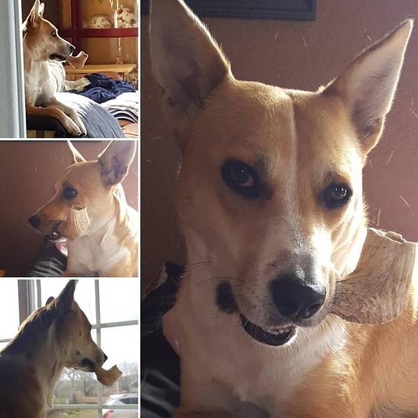 11. Ватсон, готова ли моя овсянка?