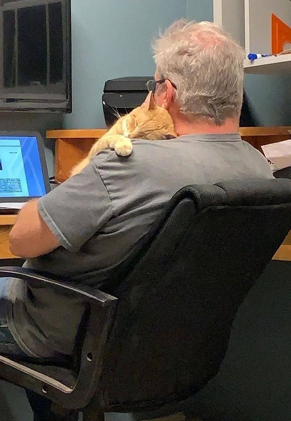 14. Хозяин, как мне с тобой повезло