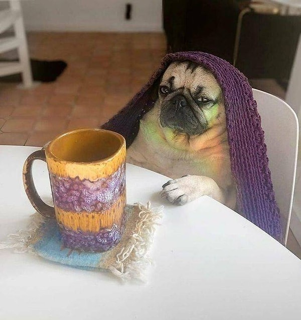 17. Чего тебе надобно, старче?