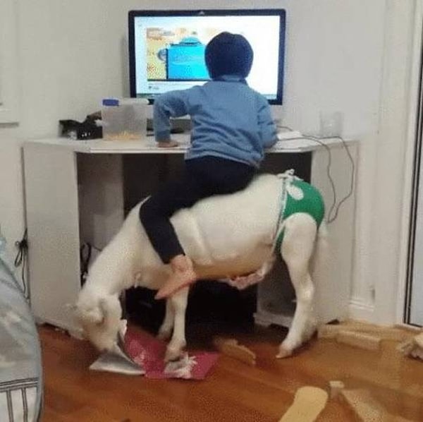 19. Экостул: не очень комфортабельный, но зато экологичный