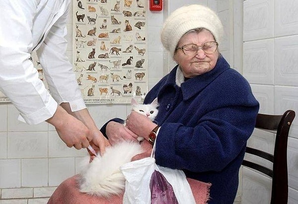 33. Муся, сейчас тебя укусит комарик