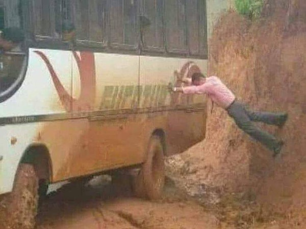 25. Их поведение еще не полностью изучено биологами...