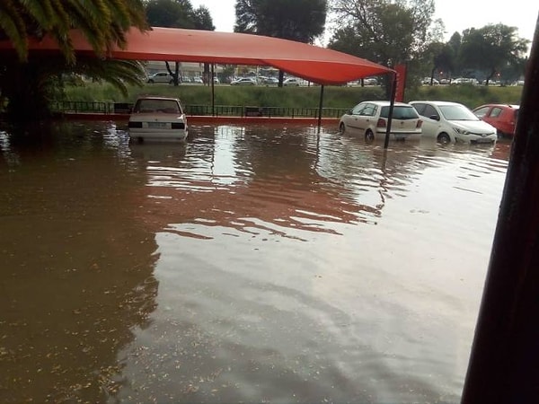 41. На Брайтон-Бич опять идут дожди