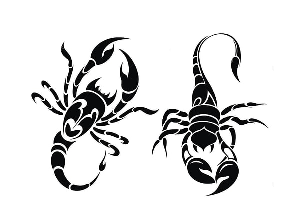 10. Скорпионы могут прожить без еды до 2 лет.