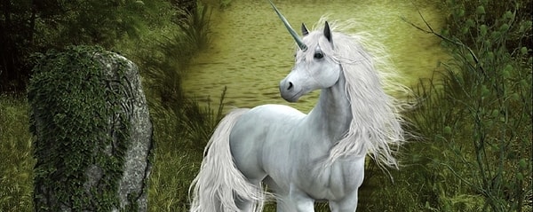 #2 Единорог