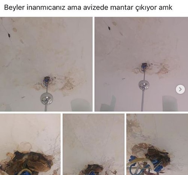 5. Kendi gıdasını kendi sağlayan ev.