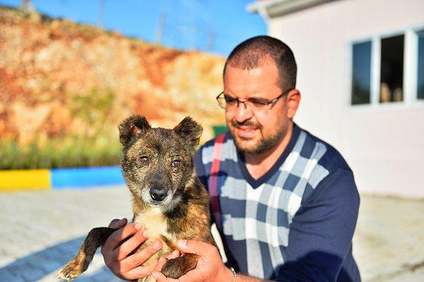 Mardin Büyükşehir Belediyesine bağlı Sokak Hayvanları Rehabilitasyon Merkezi ekipleri, Artuklu ilçesinde bir sokak köpeğinin dengesiz hareketleri olduğu ihbarı üzerine hayvanı merkeze getirdi.