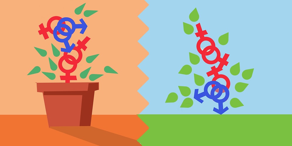 Насколько традиционна ваша ориентация? Пройдите тест, который поможет это определить