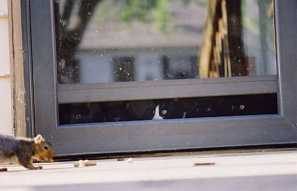 7. Человек культурен настолько, насколько он способен понять...