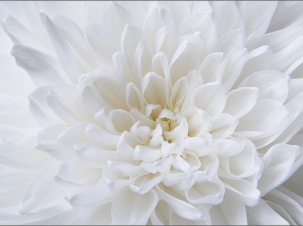 Вам нужен верный и открытый человек