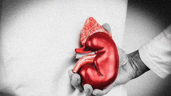 5. Говорят, что этот писатель подсел на морфий, чтобы унять боль в почках во время написания своего самого знаменитого романа.