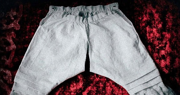 8. Этот поэт явился на бал в прозрачных кисейных панталонах без всякого исподнего и произвел большую шумиху.