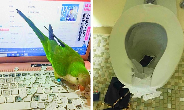 20 фото, на которых столько боли и безнадеги, что в них можно захлебнуться